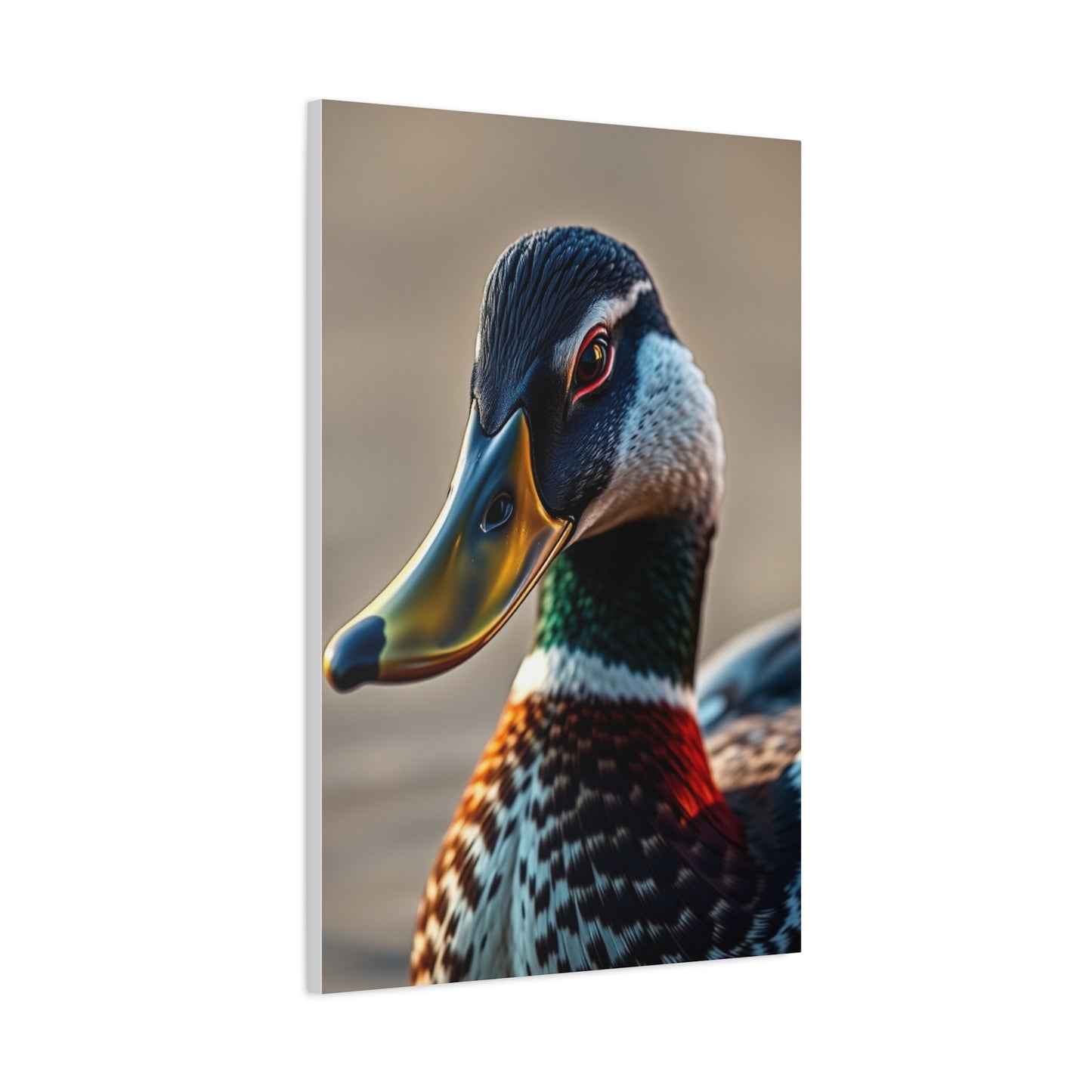 Duck Art Refined Canvas Wall Art & Canvas Print