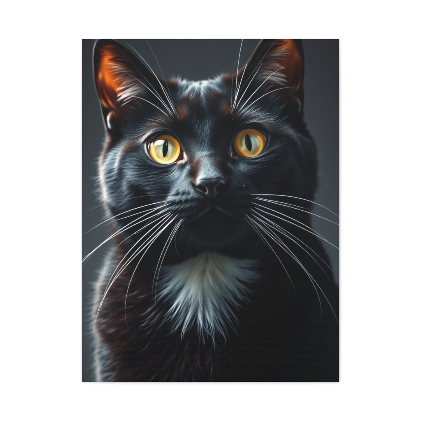Supreme Tuxedo Cat Art Beautiful Collection Wall Art & Canvas Print