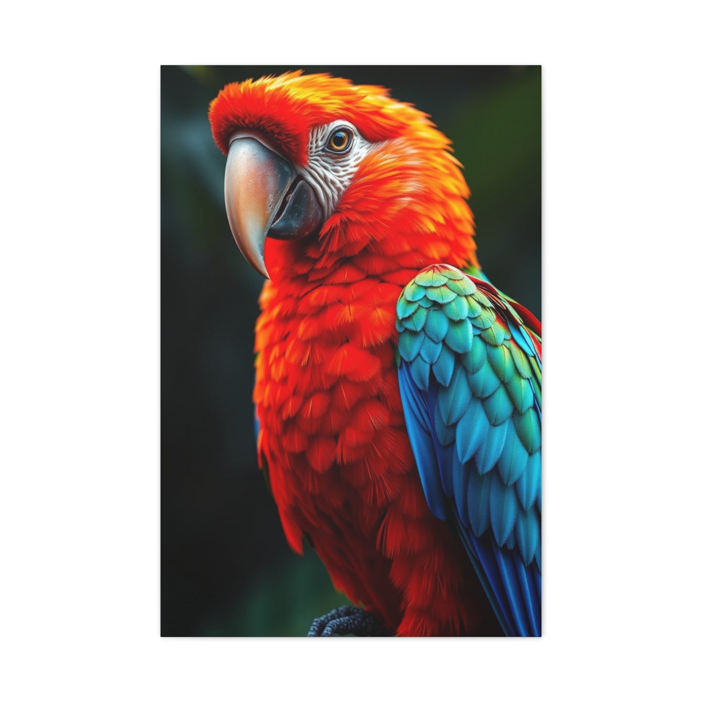 Supreme Tropical Birds Art Beautiful Collection Wall Art & Canvas Print