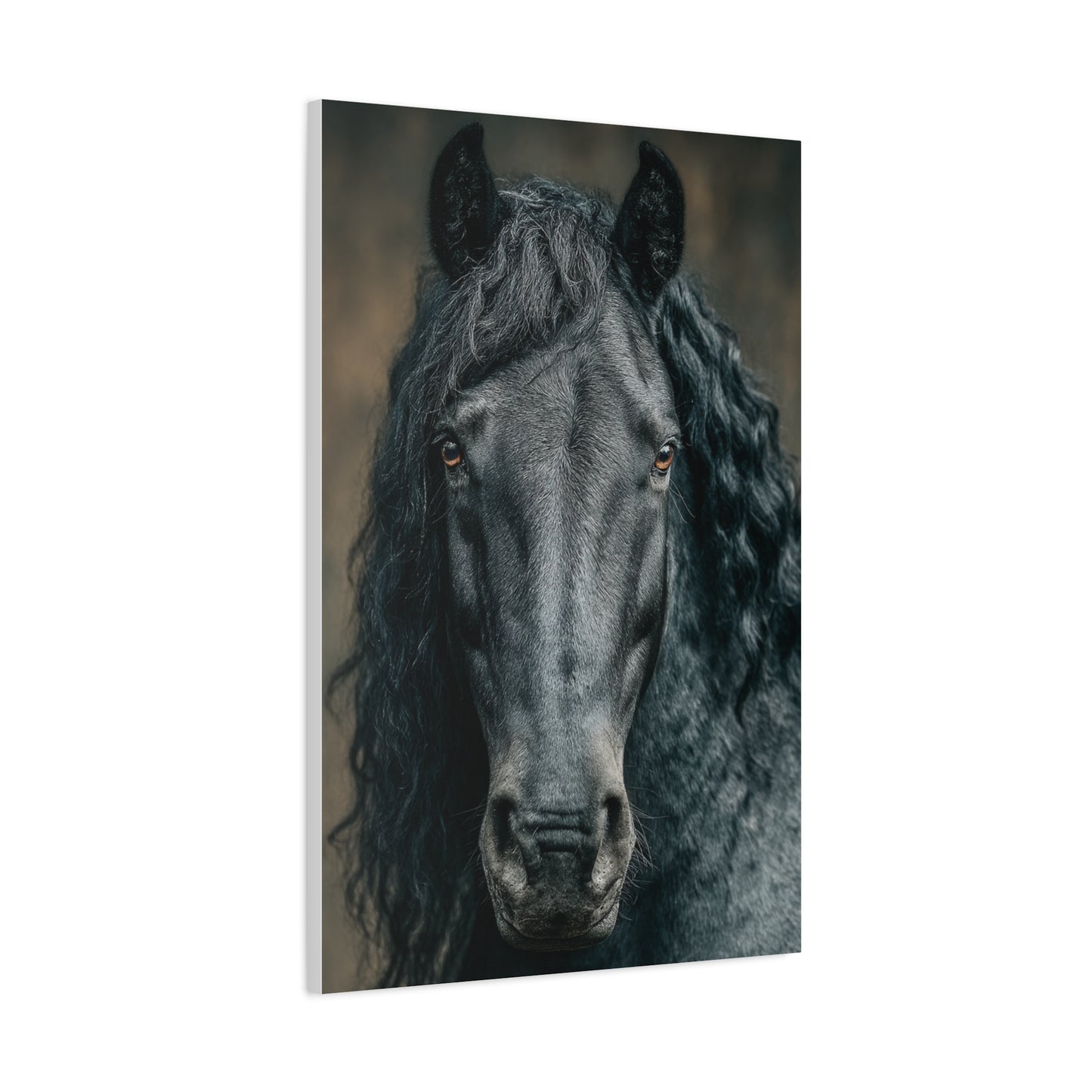 Black Horse Frontal Portrait Wall Art & Canvas Print