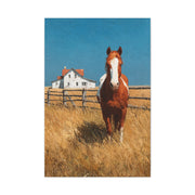 Chestnut Horse Farm Meadow Wall Art & Canvas Print