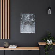 Great Grey Owl Winter Flight Wall Art & Canvas Print