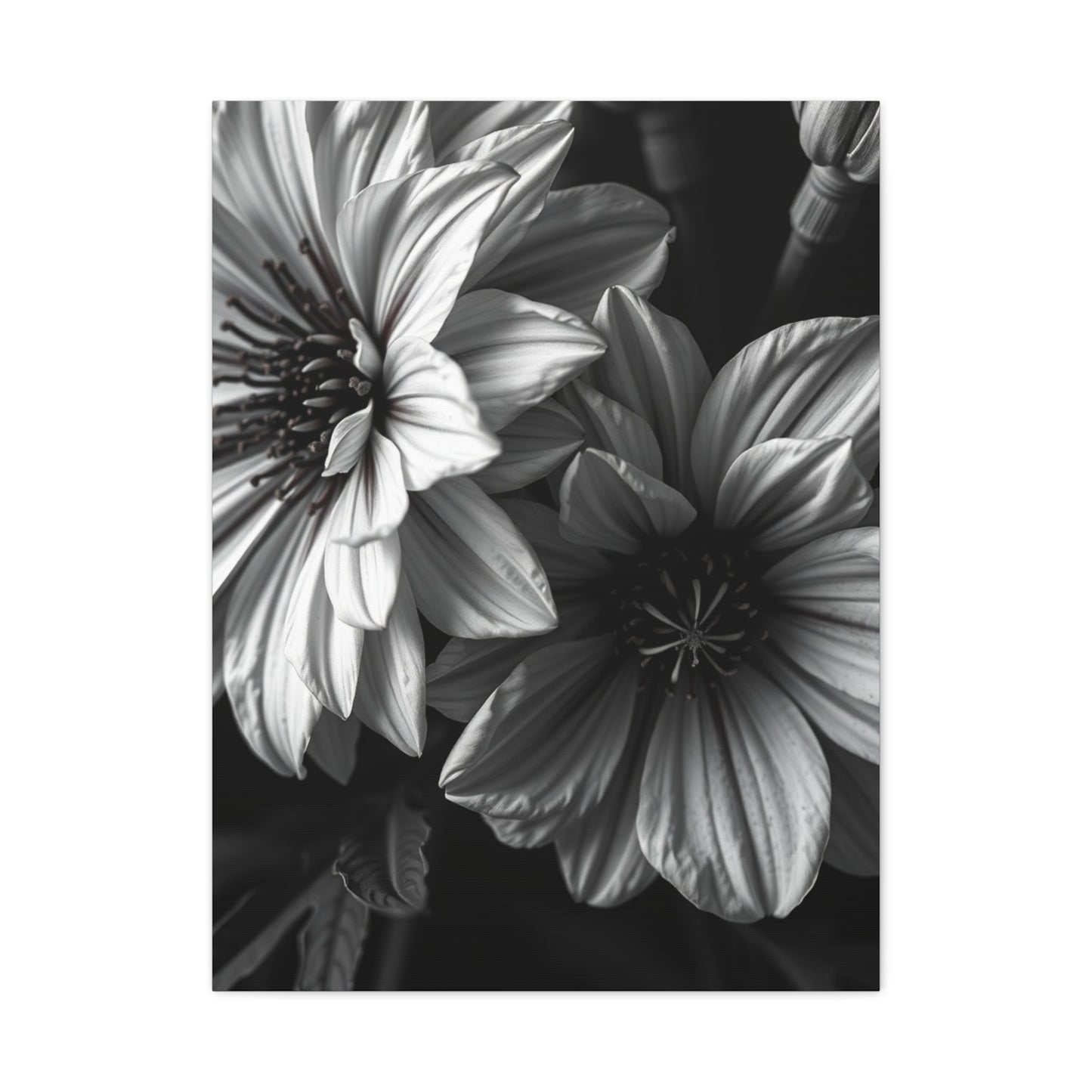 Opulent Petals in Duotone Wall Art & Canvas Print
