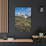 High Alpine Wildflower Meadow Wall Art & Canvas Print