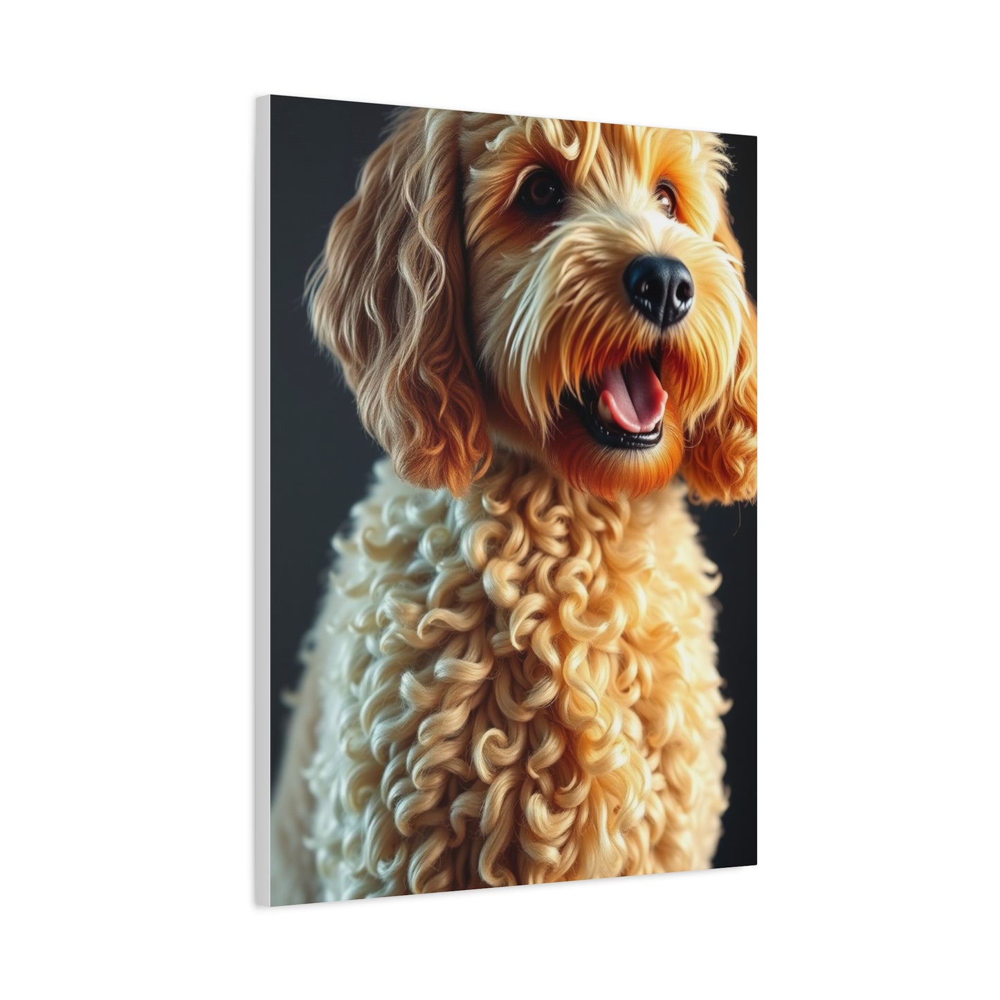 Supreme Art Golden Doodle Art Collection Wall Art & Canvas Print