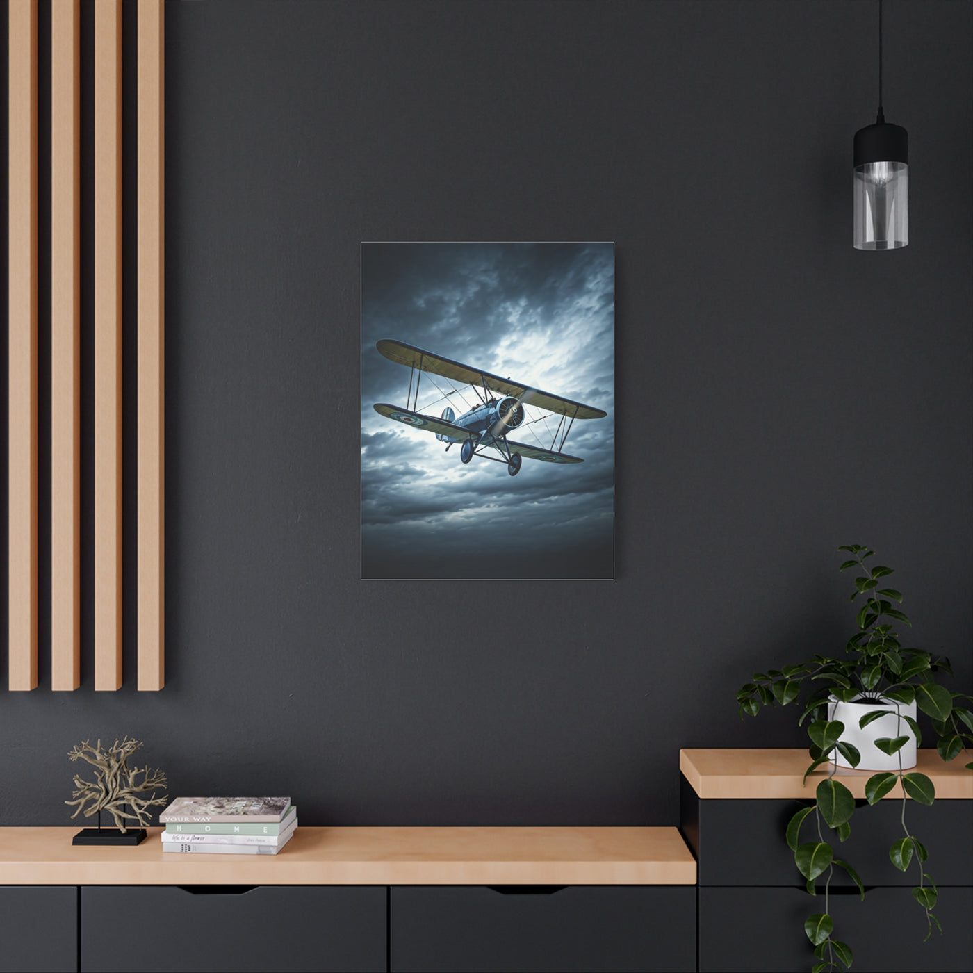 Stormbound Biplane Flight Wall Art & Canvas Prints