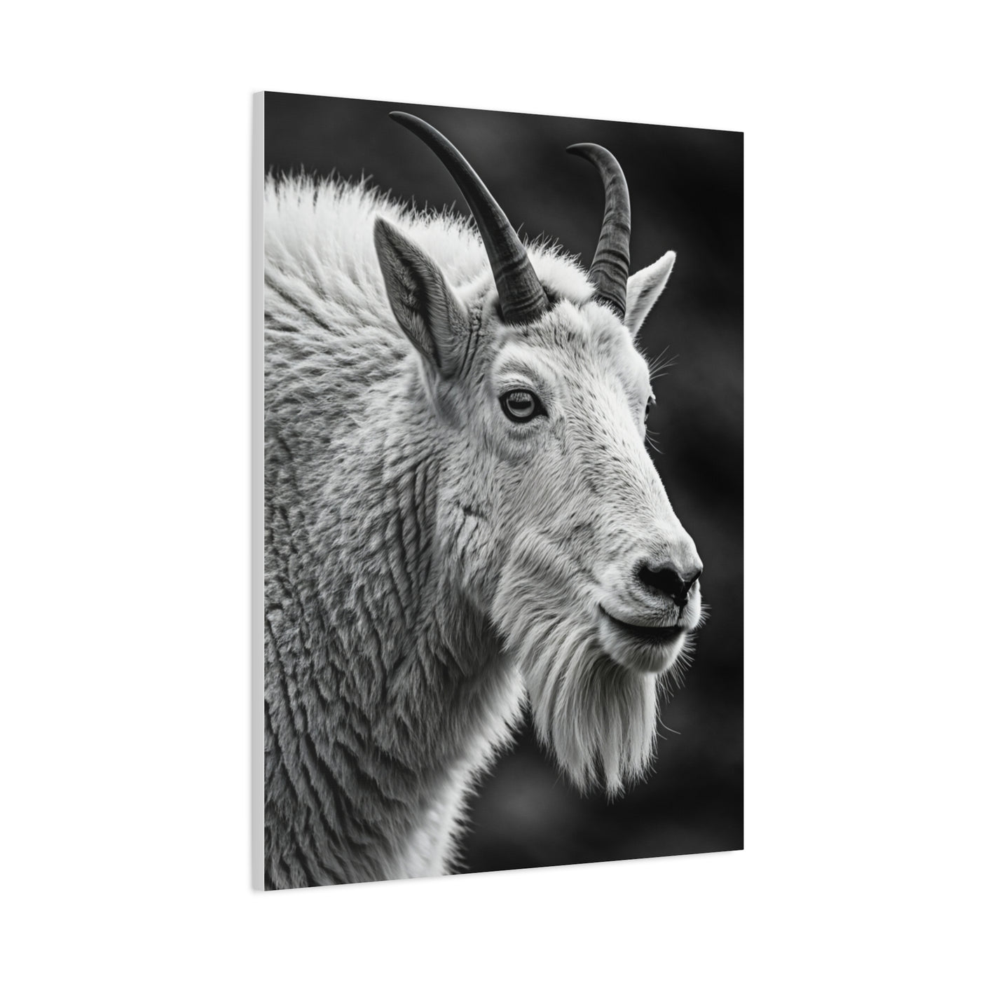 Alpine Goat Portrait Wall Art & Canvas Prints