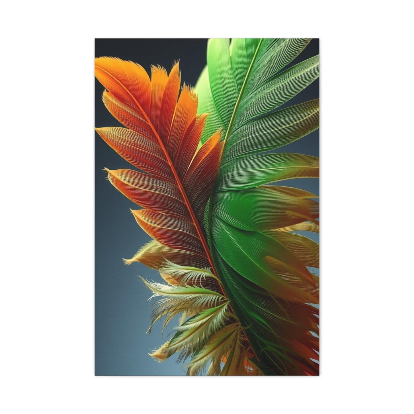 Supreme Feather Art Beautiful Collection Wall Art & Canvas Print
