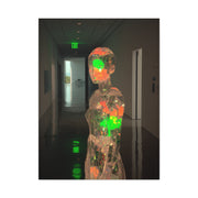 Luminous Crystal Figure Installation Wall Art & Canvas Print