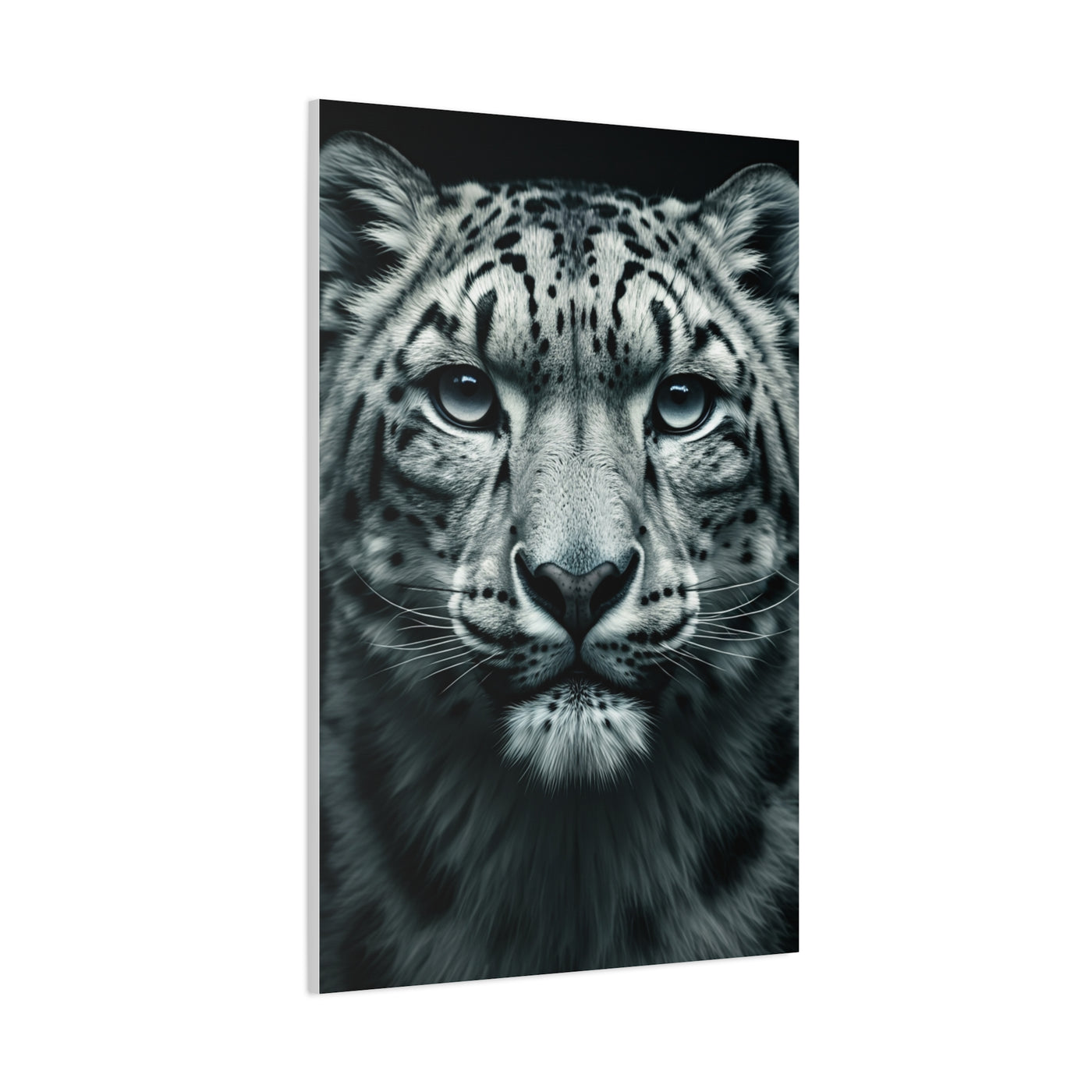 Snow Leopard Intense Gaze Wall Art & Canvas Prints