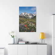 High Alpine Wildflower Meadow Wall Art & Canvas Print