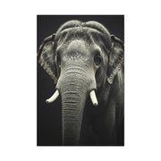 Regal Elephant Close-Up Wall Art & Canvas Prints