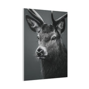 Highland Stag Moonlight Profile Wall Art & Canvas Print