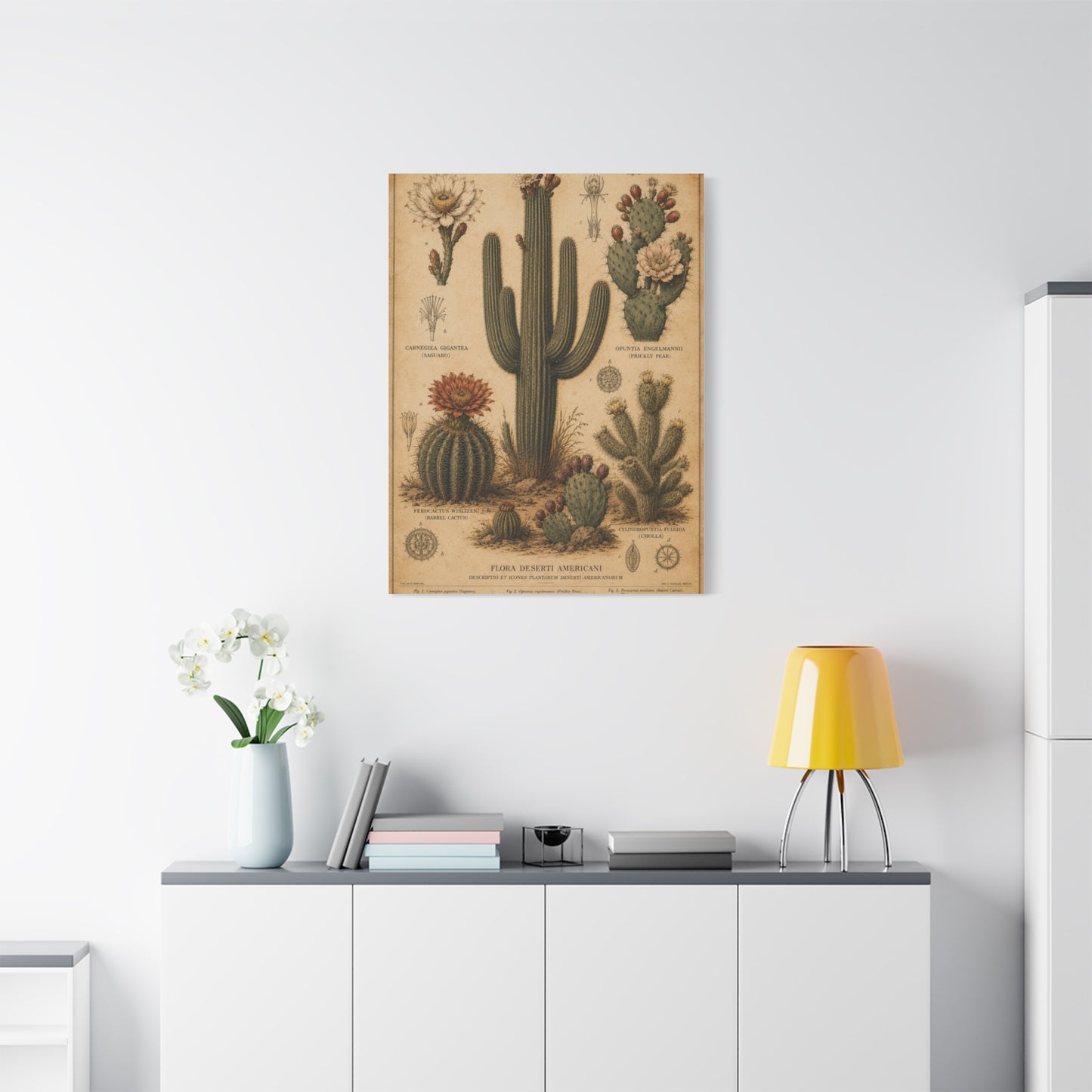 Vintage Desert Botanical Study Southwest Wall Art & Canvas Print
