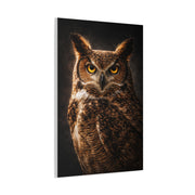 Great Horned Owl Portrait Studio Wall Art & Canvas Print