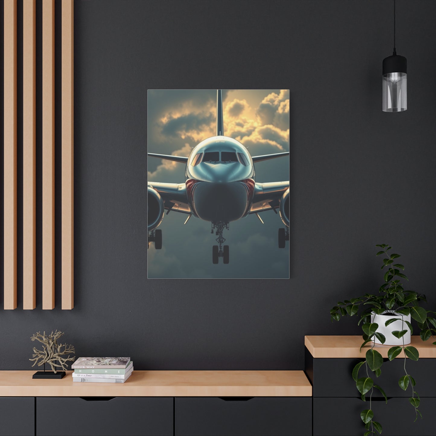 Supreme Airplane Art Beautiful Collection Wall Art & Canvas Print