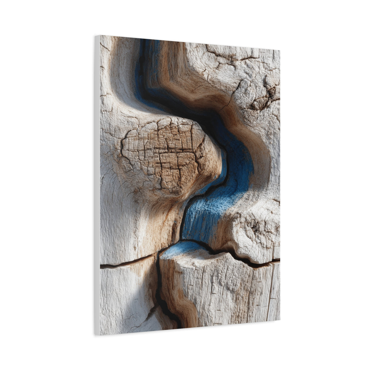 Driftwood Grain Abstract Texture Wall Art & Canvas Print