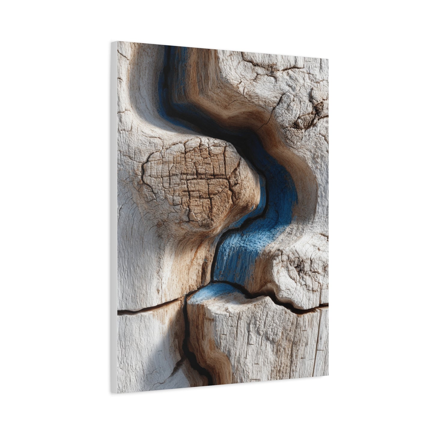 Driftwood Grain Abstract Texture Wall Art & Canvas Print
