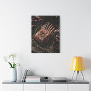 Frenched Rack of Lamb Rustic Prep Wall Art & Canvas Print