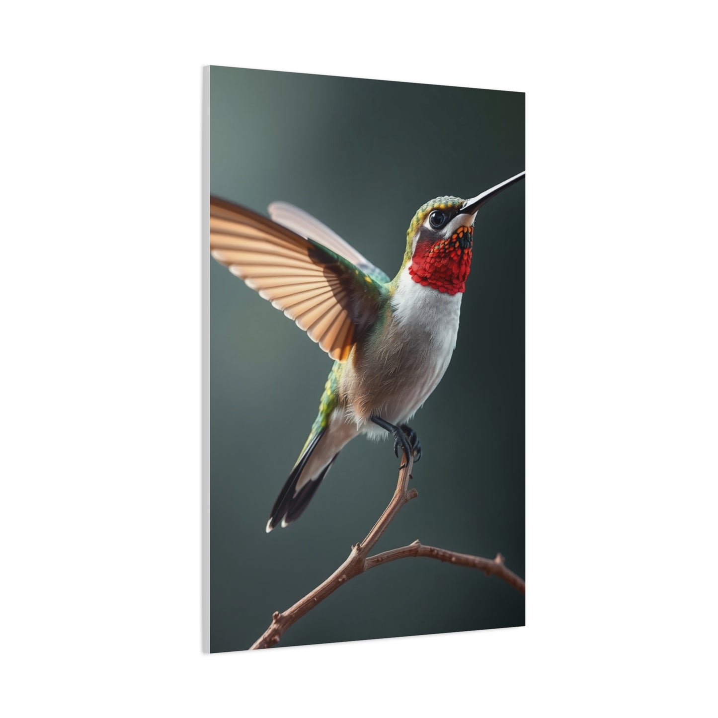 Supreme Humming Bird Art Collection Wall Art & Canvas Print