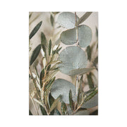 Botanical Eucalyptus Close-Up Wall Art & Canvas Print