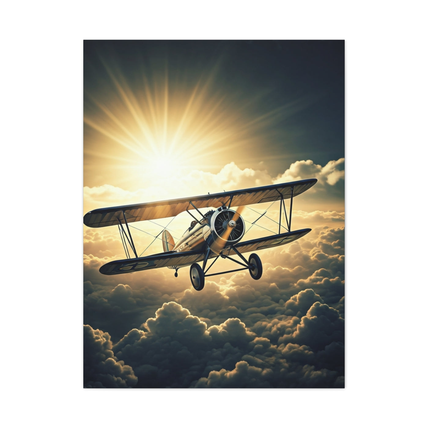 Sunlit Vintage Biplane Flight Wall Art & Canvas Prints