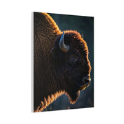 Backlit Bison Silhouette with Glowing Fur Edges Wall Art & Canvas Print