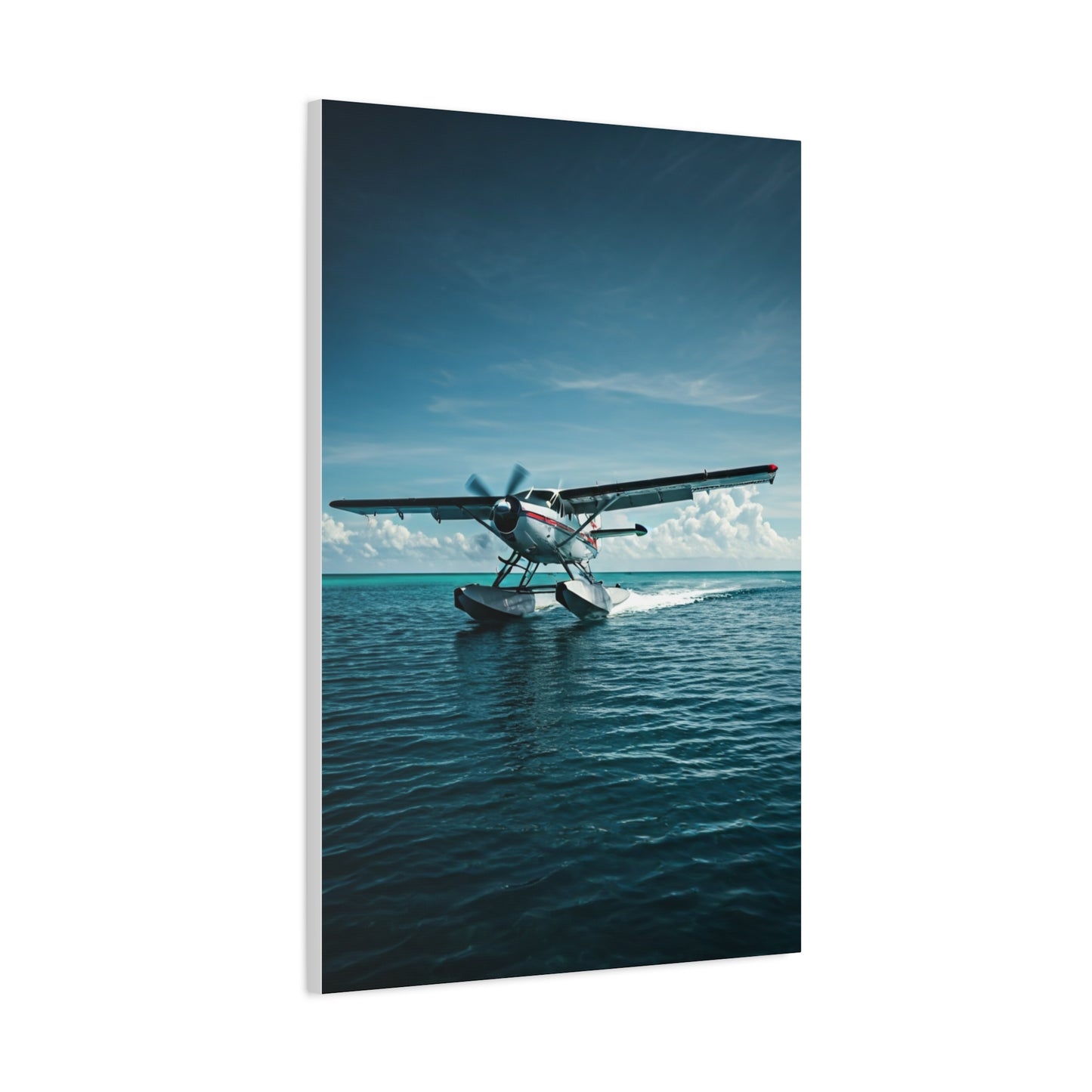 Seaplane Landing Adventure Wall Art & Canvas Prints