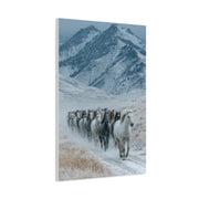 Wild Horse Herd Mountain Run Wall Art & Canvas Print