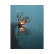 Moonlit Driftwood Shore Wall Art & Canvas Print