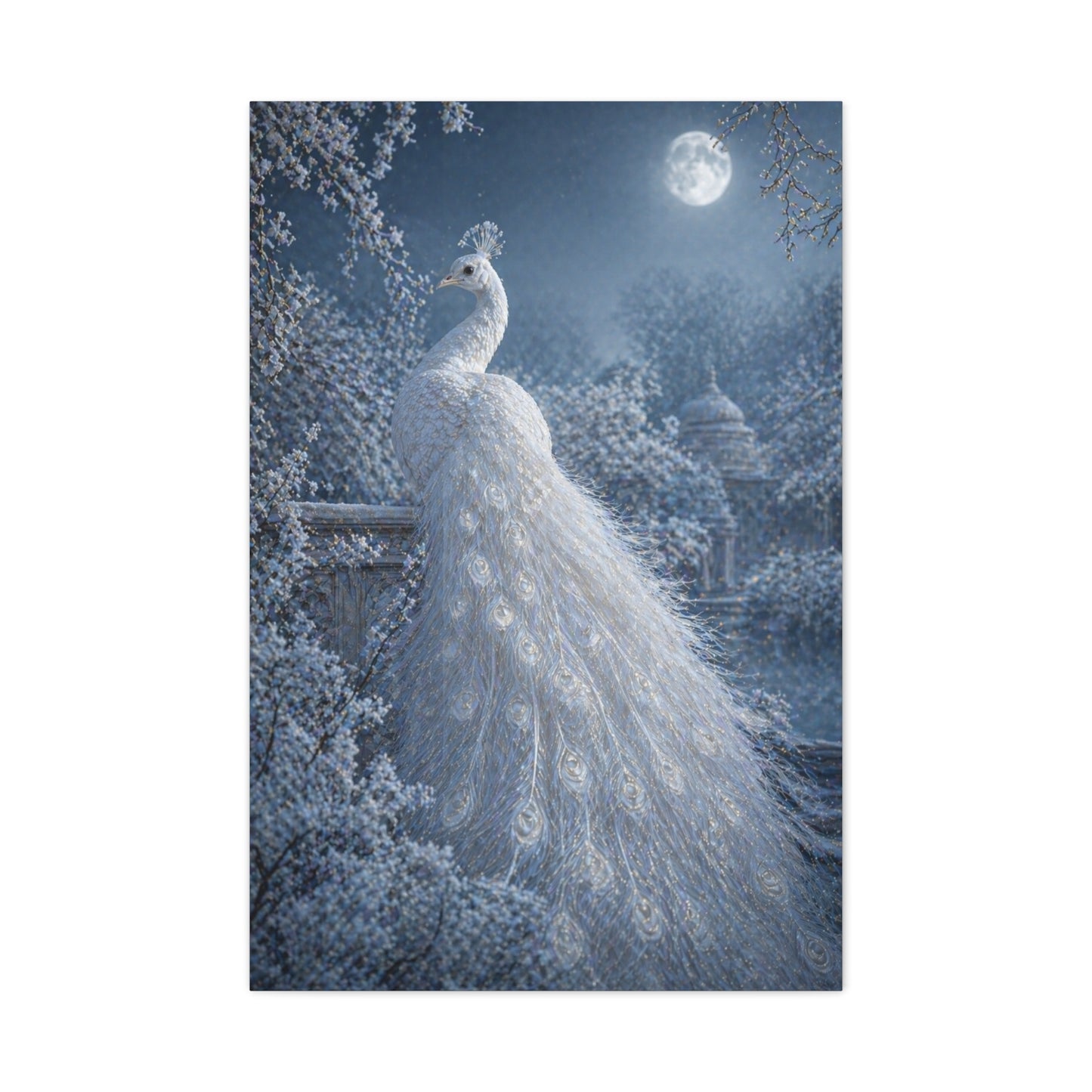Snowy Moonlit White Peacock Wall Art & Canvas Print