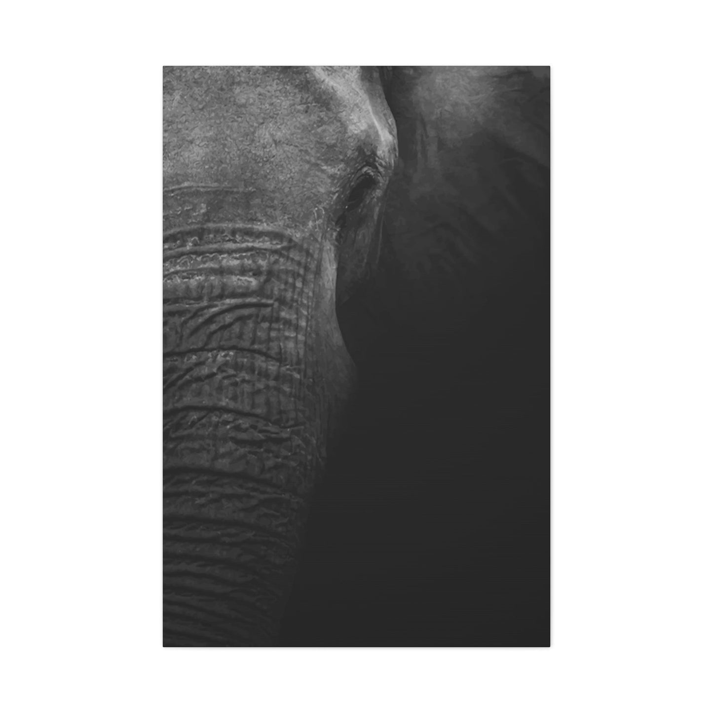 Elephant Wall Art & Canvas Prints