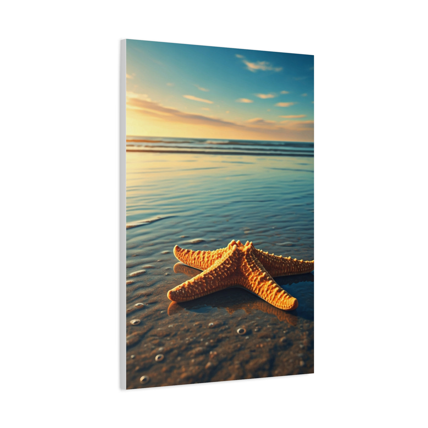 Starfish Resting in Shallow Sunset Waters Wall Art & Canvas Prints