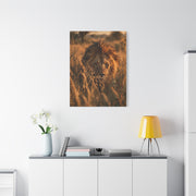 Lion Stalking Through Savannah Grass Wall Art & Canvas Print
