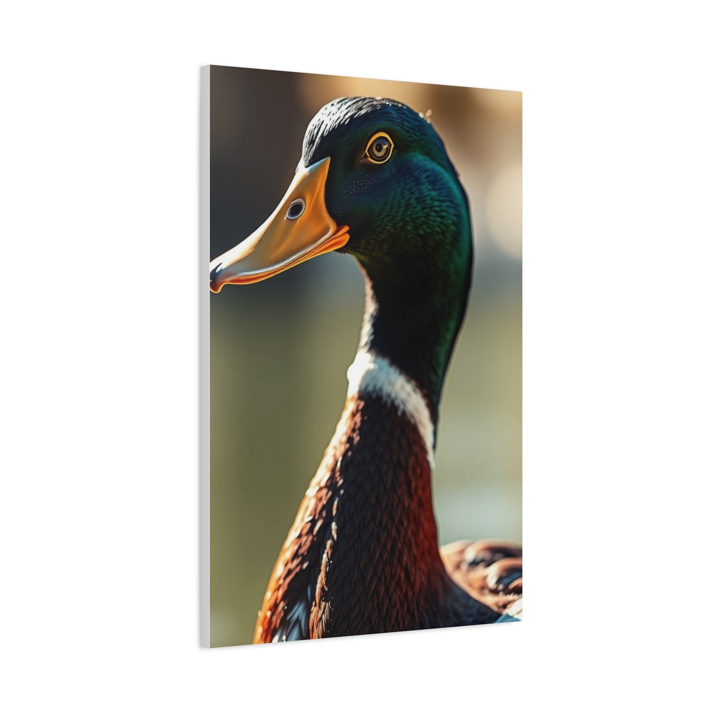 Supreme Duck Art Beautiful Collection Wall Art & Canvas Print