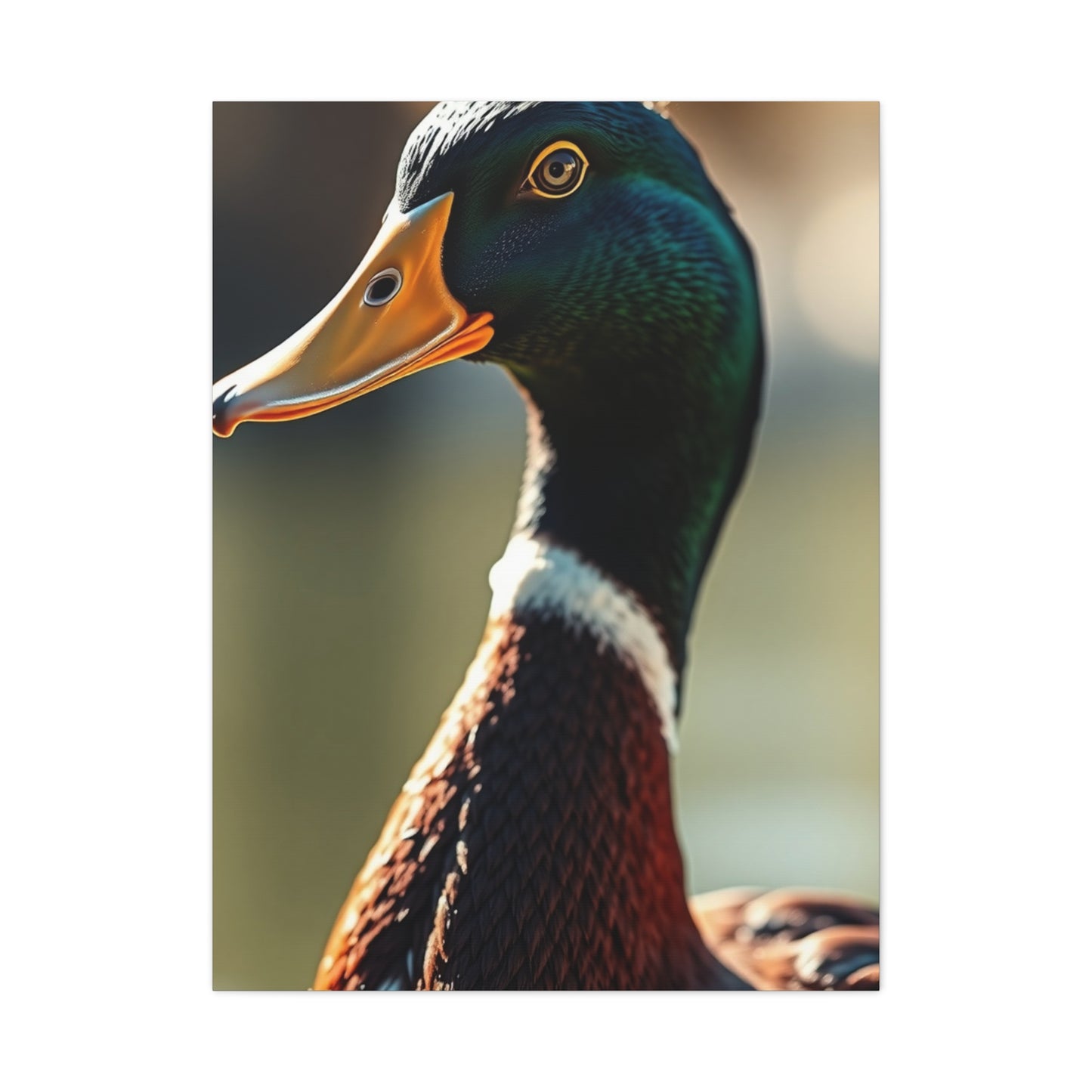 Supreme Duck Art Beautiful Collection Wall Art & Canvas Print
