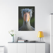 Majestic Shoebill Stork Close-Up Wall Art & Canvas Prints
