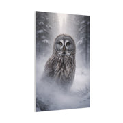 Great Grey Owl Winter Mist Portrait Wall Art & Canvas Print