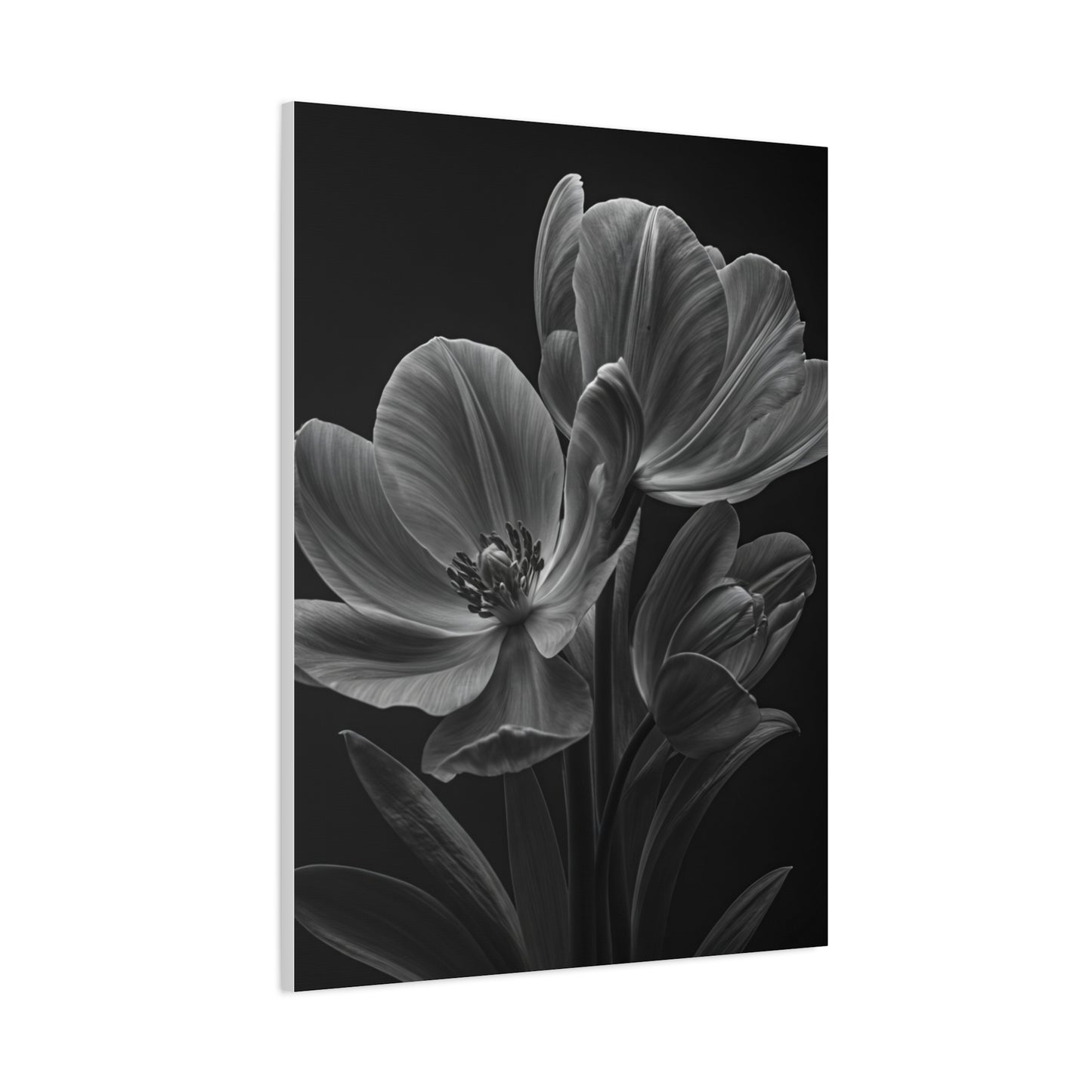 Dual Magnolia Elegance Wall Art & Canvas Prints