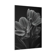 Dual Magnolia Elegance Wall Art & Canvas Prints