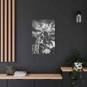Dramatic Monochrome Alpine Storm Wall Art & Canvas Print
