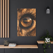 Lion Eye Reflection Macro Wall Art & Canvas Print