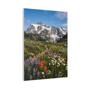 High Alpine Wildflower Meadow Wall Art & Canvas Print