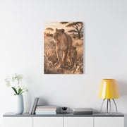 Lioness and Cub Golden Walk Wall Art & Canvas Print