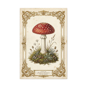 Victorian Botanical Mycology Plate Wall Art & Canvas Print