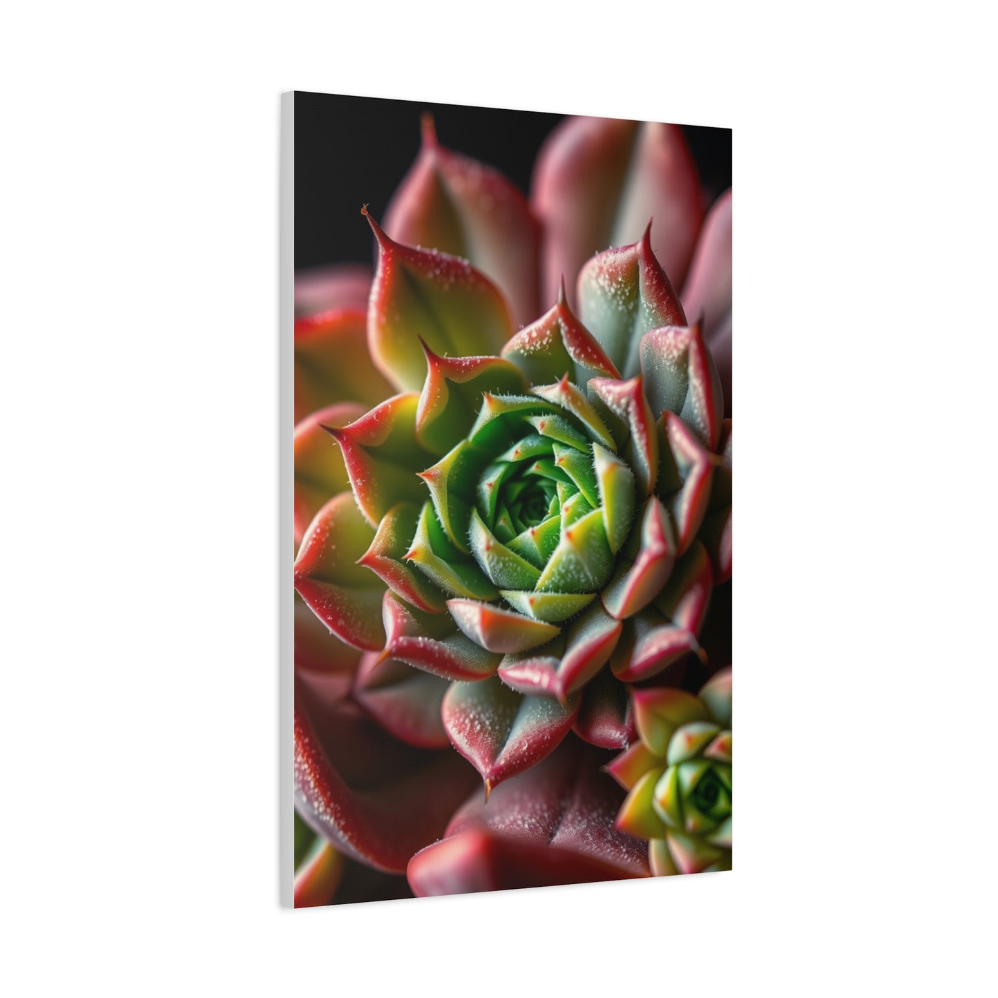 Vision Succulent Art Art Wall Art & Canvas Print