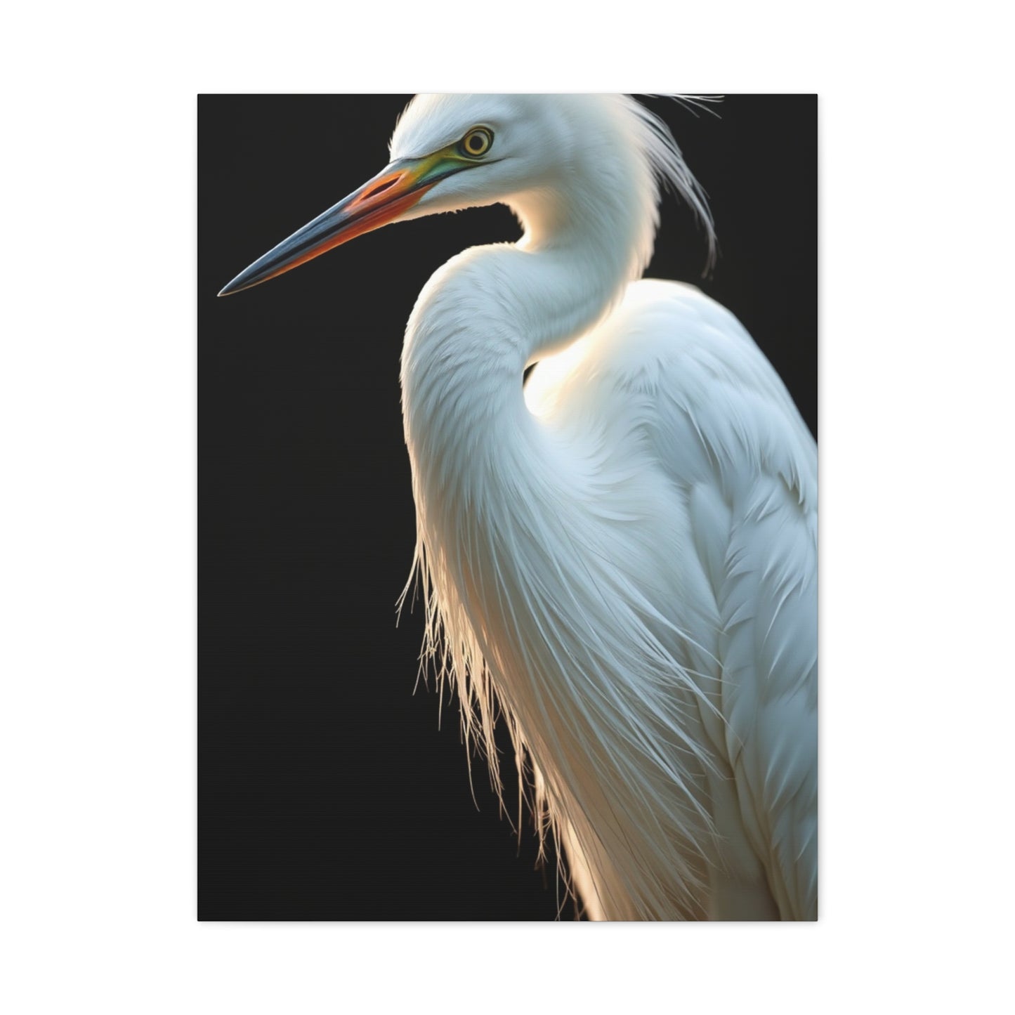 Supreme Egret Art Beautiful Collection Wall Art & Canvas Print