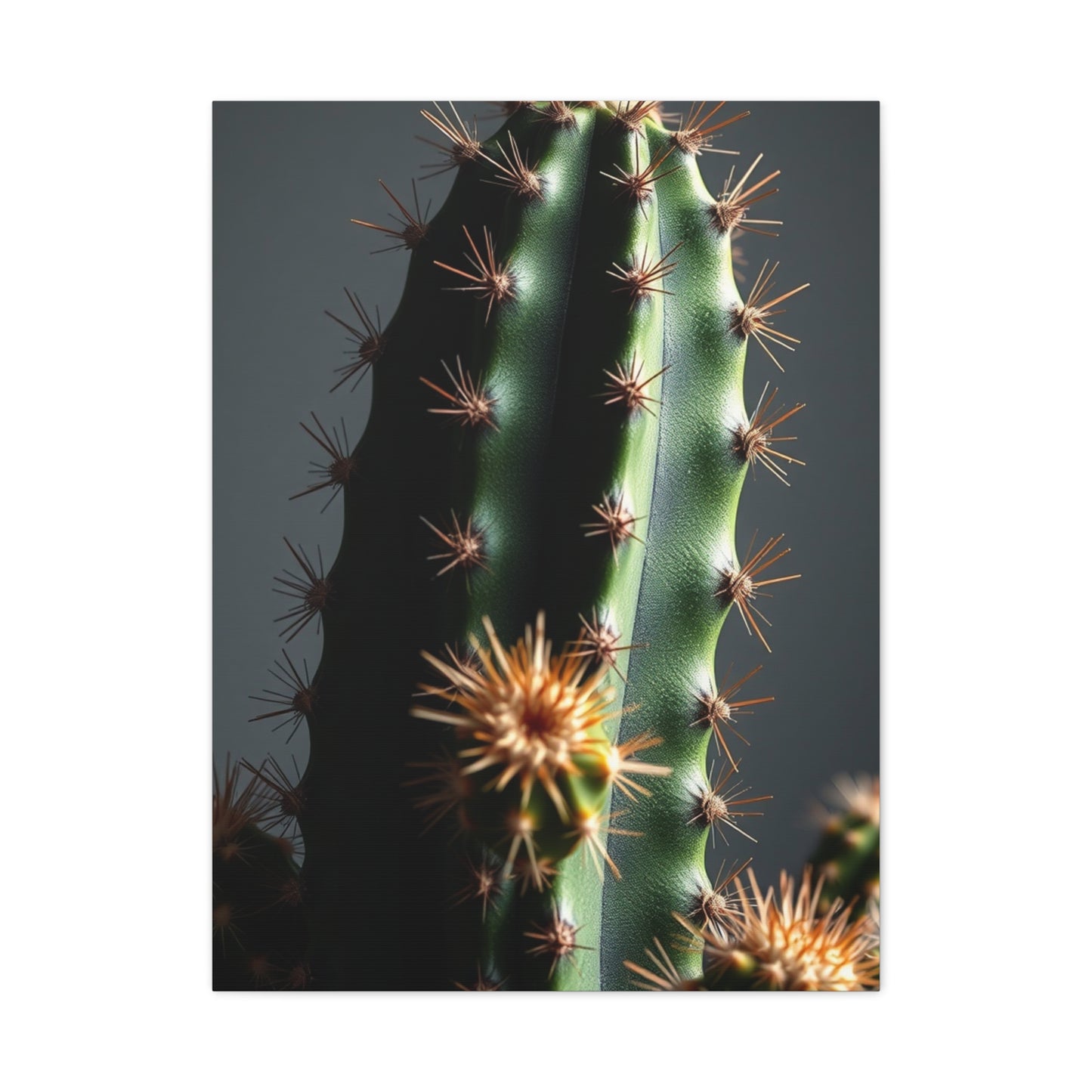 Thorned Tranquility Art Wall Art & Canvas Print