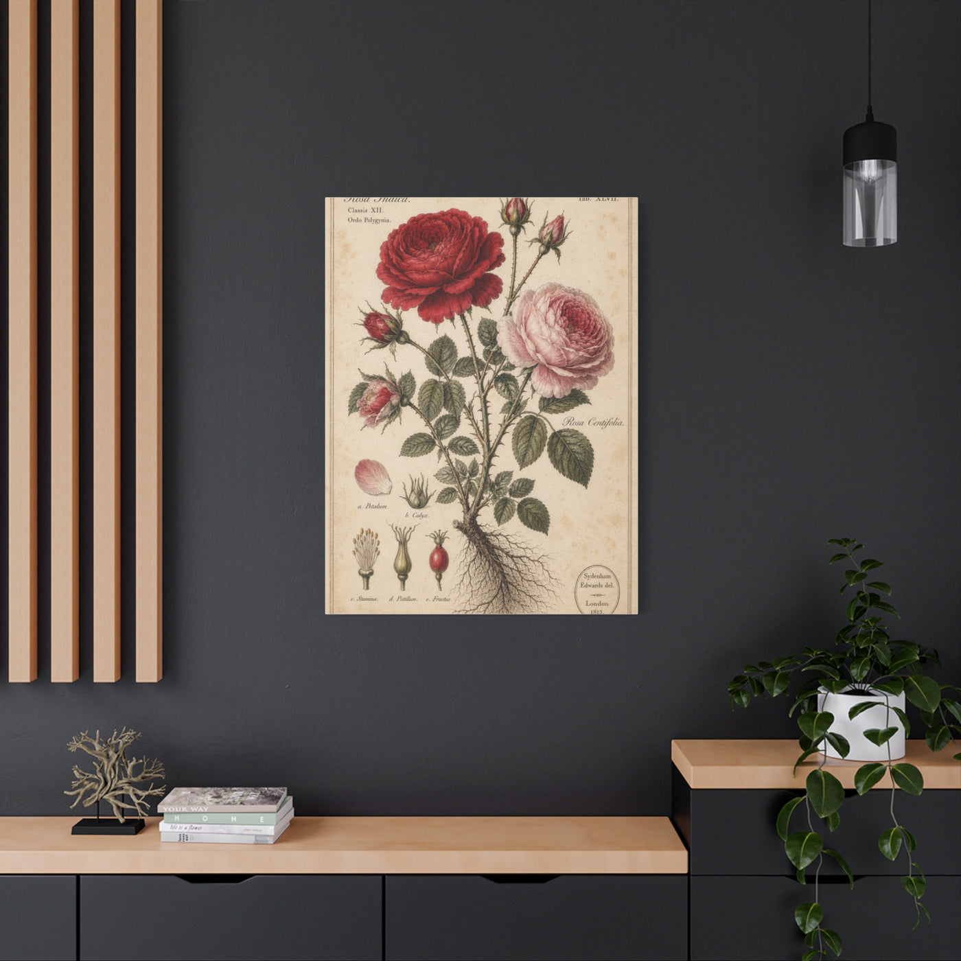 Victorian Rose Botanical Study Wall Art & Canvas Print