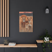 Lion Family Portrait Unity Wall Art & Canvas Print